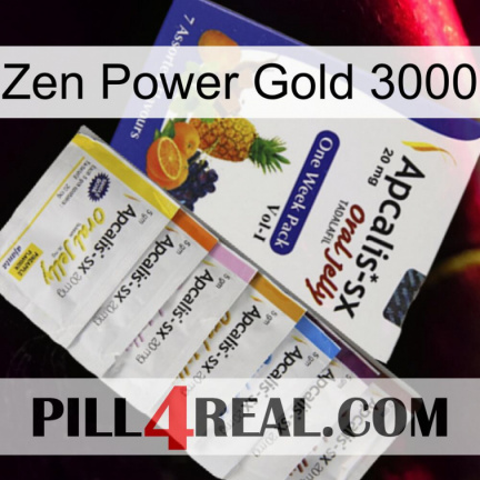 Zen Power Gold 3000 11
